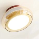 Vintage Small Acrylic LED Ceiling Light - Image 8