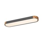 Dimmable Minimalist Long Oval Flush Mount LED Light - Image 13