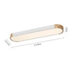 Dimmable Minimalist Long Oval Flush Mount LED Light - Image 23