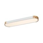 Dimmable Minimalist Long Oval Flush Mount LED Light - Image 17