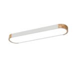 Dimmable Minimalist Long Oval Flush Mount LED Light - Image 25