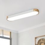 Dimmable Minimalist Long Oval Flush Mount LED Light - Image 11