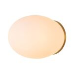 Simple Gold 1-light Frosted Glass Egg Wall Light - Image 5