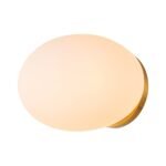 Simple Gold 1-light Frosted Glass Egg Wall Light - Image 6