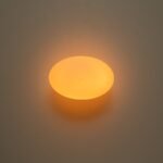 Simple Gold 1-light Frosted Glass Egg Wall Light - Image 10