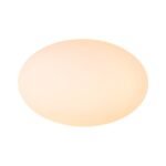 Simple Gold 1-light Frosted Glass Egg Wall Light - Image 7